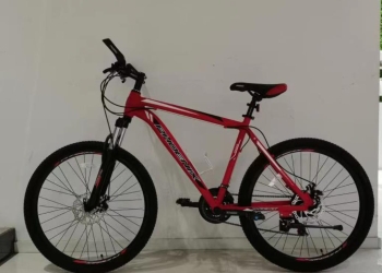 وزارة الشباب والرياضة تُطلق الدفعة الثالثة من دراجتك.. صحتك' في اليوم العالمي للدراجات" 19 - جريدة المساء