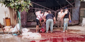 أزمة فى الجزارين بالإسكندرية ..والسر فى الساحل الشمالى 1 - جريدة المساء