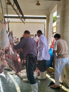 بالمجان.. ذبح 3067 أضحية للمواطنين والجمعيات بمجازر محافظة الجيزة خلال عيد الأضحى(صور) 35 - جريدة المساء