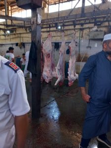 بالمجان.. ذبح 3067 أضحية للمواطنين والجمعيات بمجازر محافظة الجيزة خلال عيد الأضحى(صور) 29 - جريدة المساء