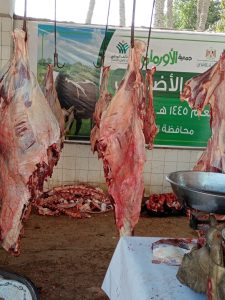 بالمجان.. ذبح 3067 أضحية للمواطنين والجمعيات بمجازر محافظة الجيزة خلال عيد الأضحى(صور) 31 - جريدة المساء