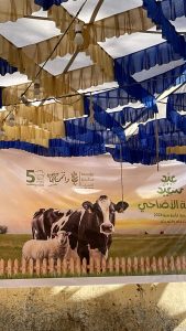 بالمجان.. ذبح 3067 أضحية للمواطنين والجمعيات بمجازر محافظة الجيزة خلال عيد الأضحى(صور) 40 - جريدة المساء بالمجان.. ذبح 3067 أضحية للمواطنين والجمعيات بمجازر محافظة الجيزة خلال عيد الأضحى(صور) 39 - جريدة المساء