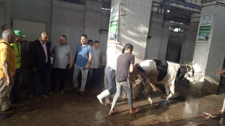 فى أول أيام العيد.."المنايفة" ملأوا الحدائق والمتنزهات.. و الشباب استقلوا " الموتوسيكلات " وجابوا الشوارع وصولا للميادين العامة 17 - جريدة المساء