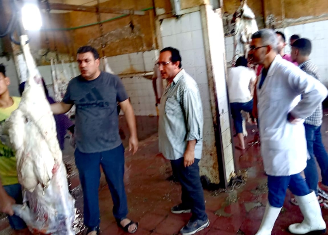 ذبح 360 أضحية للمواطنين بـ «المجان» فى مجازر كفر الشيخ 19 - جريدة المساء