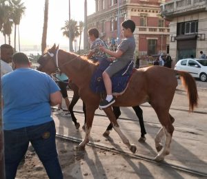 شواطئ شرق الإسكندرية كاملة العدد فى رابع أيام عيد الأضحى المبارك 19 - جريدة المساء