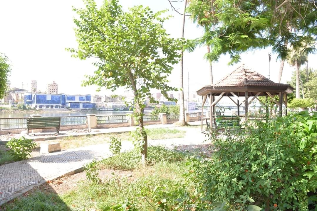 محافظ الدقهلية يكشف حقيقة قطع الأشجار بحديقة عروس النيل والحدائق العامة بالمنصورة 19 - جريدة المساء