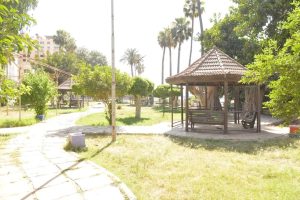 محافظ الدقهلية يكشف حقيقة قطع الأشجار بحديقة عروس النيل والحدائق العامة بالمنصورة 21 - جريدة المساء