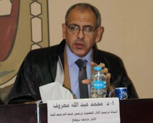 الدكتوراه للباحثة ريهام الطنطاوى من جامعة المنوفية 27 - جريدة المساء