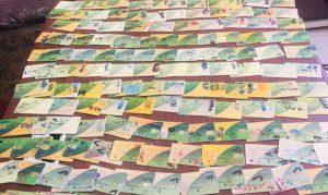 ضبط 300 بطاقة ومواد تموينية وتحرير 13 محضرا بالقصاصين 21 - جريدة المساء