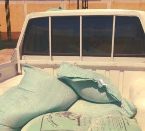 ضبط 300 بطاقة ومواد تموينية وتحرير 13 محضرا بالقصاصين 23 - جريدة المساء