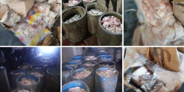 صحة الشرقية: ضبط وإعدام أكثر من 17 طن لحوم ودجاج مجمد في حملة على المنشآت الغذائية 1 - جريدة المساء