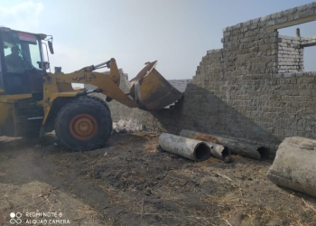 ازالة ٤ حالات تعد على أرض زراعية جنوب بورسعيد 17 - جريدة المساء