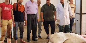 بيطري المنيا ينهي ذبح 2319 ذبيحة داخل المجازر الحكومية خلال عيد الاضحى المبارك 1 - جريدة المساء