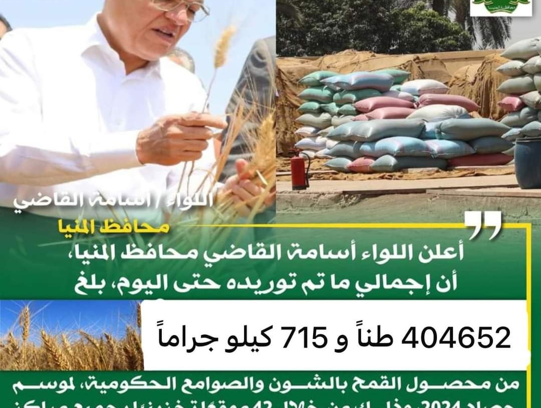 شون وصوامع المنيا تستقبل 405 ألف طن من محصول القمح لموسم حصاد 2024 14 - جريدة المساء شون وصوامع المنيا تستقبل 405 ألف طن من محصول القمح لموسم حصاد 2024 13 - جريدة المساء