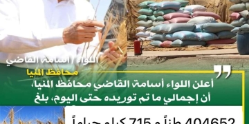 شون وصوامع المنيا تستقبل 405 ألف طن من محصول القمح لموسم حصاد 2024 2 - جريدة المساء شون وصوامع المنيا تستقبل 405 ألف طن من محصول القمح لموسم حصاد 2024 1 - جريدة المساء