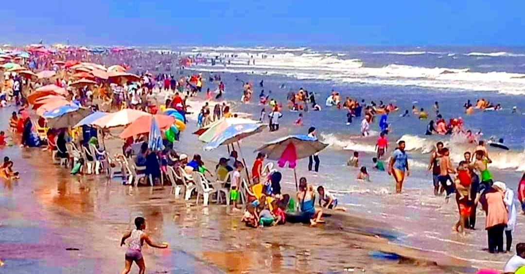 محافظ كفرالشيخ يتابع أعمال النظافة والتجميل ورفع كفاءة منظومة الإنارة العامة ومكافحة الحشرات بمصيف بلطيم 20 - جريدة المساء محافظ كفرالشيخ يتابع أعمال النظافة والتجميل ورفع كفاءة منظومة الإنارة العامة ومكافحة الحشرات بمصيف بلطيم 19 - جريدة المساء