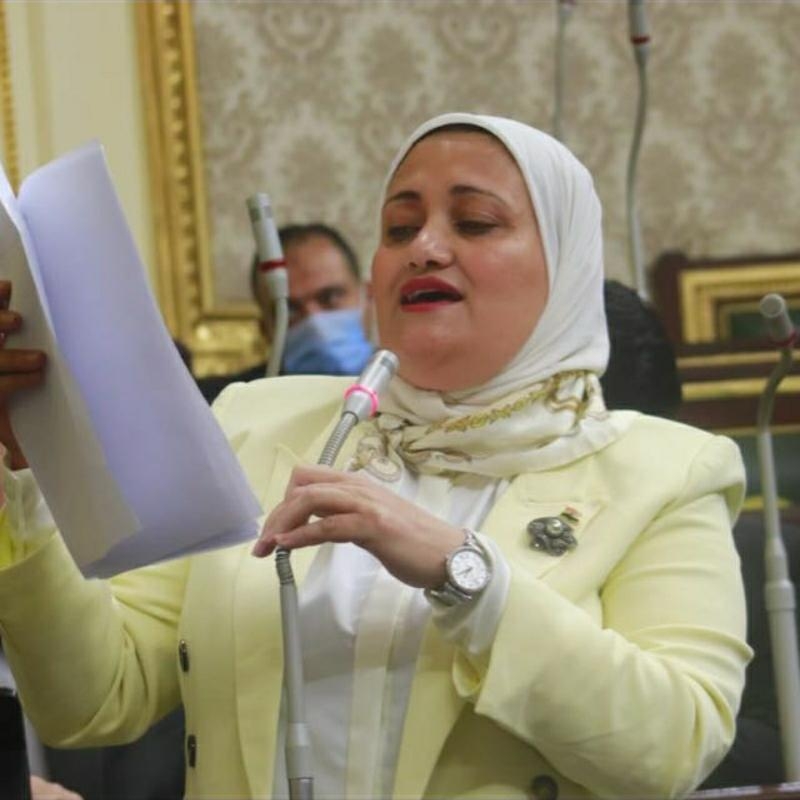 النائبة سناء السعيد:ظروف الحرب والنزاعات بدول الجوار تشعرنا بقوة الجيش المصرى 17 - جريدة المساء