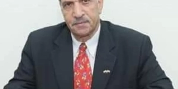 الاتحاد العام للمصريين في الخارج يثمن عودة الإشراف على الهجرة لوزارة الخارجية 1 - جريدة المساء