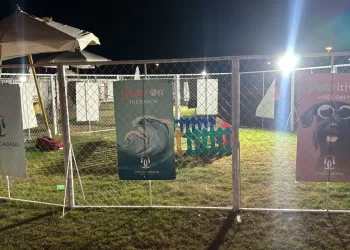 مهرجان العلمين يتيح اصطحاب الحيوانات الأليفة مع الحضور.. وتوفير خدمة الرعاية للكلاب 34 - جريدة المساء