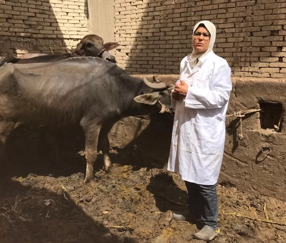 "بيطري الجيزة": تحصين 4650 رأس ماشية بقري الجيزة.. في أول يوم للحملة القومية ضد الحمي القلاعية والوادي المتصدع 18 - جريدة المساء