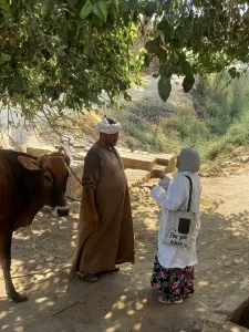 "بيطري الجيزة": تحصين 4650 رأس ماشية بقري الجيزة.. في أول يوم للحملة القومية ضد الحمي القلاعية والوادي المتصدع 20 - جريدة المساء