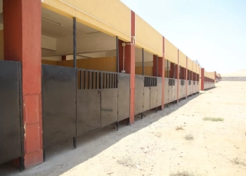لمحبي ركوب الخيل.. محافظة الجيزة تقيم اسطبلات حضارية لخدمة المنطقة الأثرية بالأهرامات بديلاً عن العشوائية 28 - جريدة المساء
