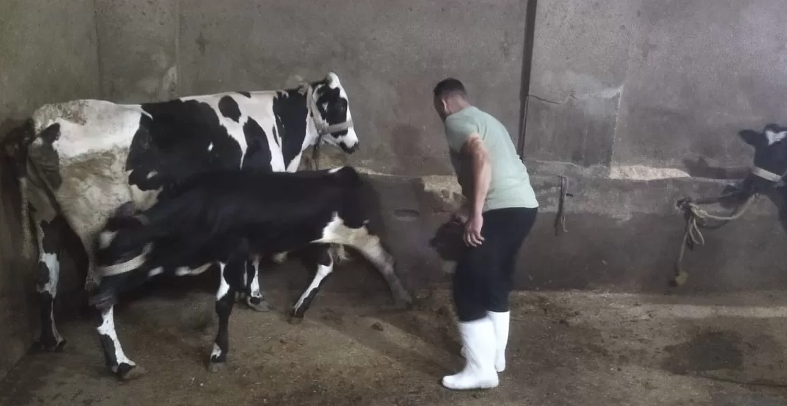 لحماية الثروة الحيوانية.. "بيطري الجيزة" تطلق 15 قافلة علاجية مجانية خلال 10 أيام ب"قري" المحافظة 19 - جريدة المساء