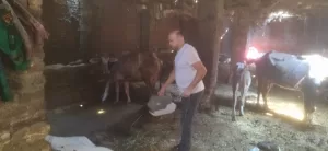 لحماية الثروة الحيوانية.. "بيطري الجيزة" تطلق 15 قافلة علاجية مجانية خلال 10 أيام ب"قري" المحافظة 35 - جريدة المساء