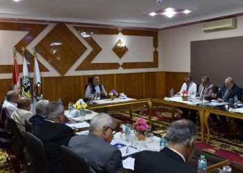 وزير قطاع الأعمال: استثمار أصول الشركات الكيماوية لتعظيم العوائد وتطوير السياسات التسويقية لزيادة المبيعات والصادرات 33 - جريدة المساء