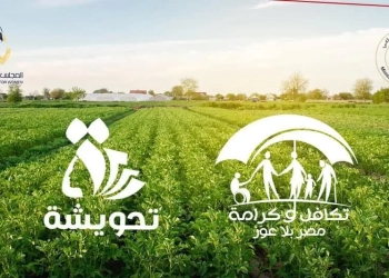 قرار بعدم استبعاد مستفيدى "تكافل وكرامة" المشتركين فى "تحويشة"