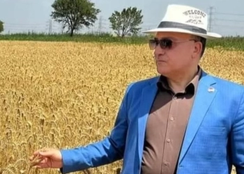 النّباتات مفترسة الحشرات 19 - جريدة المساء