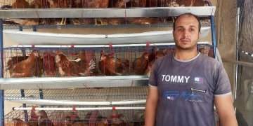 بحوث الصحراء يدعم مزارعي التجمعات بسيناء بمشروعات تربية الدجاج البياض 1 - جريدة المساء