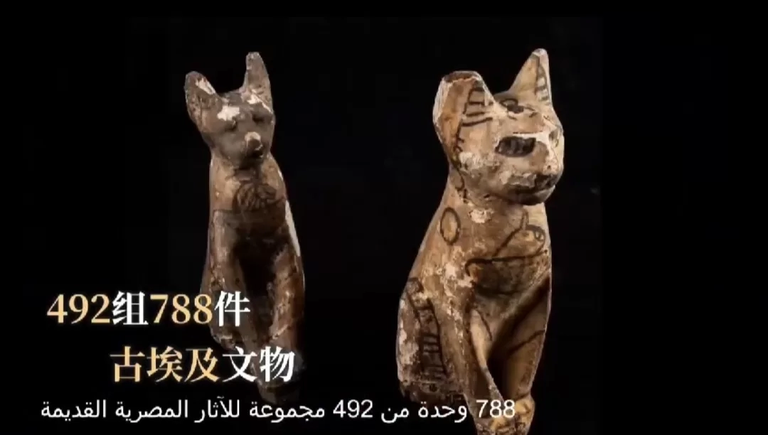 متحف شانغهاي يدعو القطط الأليفة إلى زيارة معرض الآثار المصرية 18 - جريدة المساء