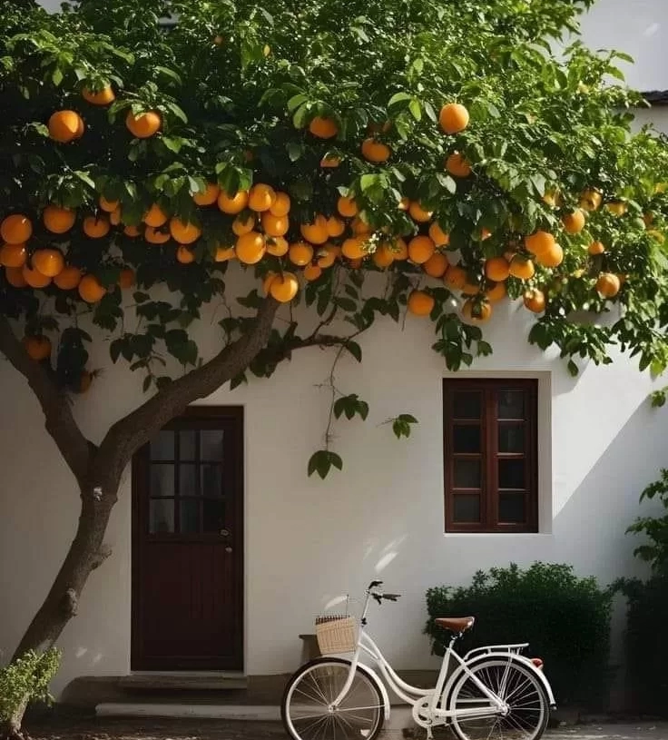 غواية اللافندر.. قصيدة للشاعر حمدي طه 18 - جريدة المساء