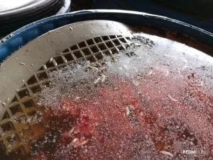 "جميعة" يقود حملة على المنشآت الغذائية بالزقازيق والقنايات.. غلق مصنعين وضبط وإعدام 10 طن أغذية فاسدة 25 - جريدة المساء
