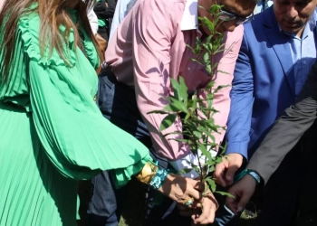 ضمن المبادرة الرئاسية "١٠٠ مليون شجرة "| محافظ الجيزة يطلق فاعلية زراعة ١٠٠٠ شجرة مثمرة بميدان الحكمة بالدقي 17 - جريدة المساء