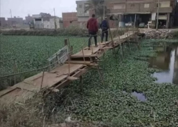 معديات الموت فى المنزلة الجديدة 21 - جريدة المساء