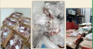 ضبط 15 لحوم مجمدة و دواجن و كبده وأسماك مملحة فاسدة بالشرقية 21 - جريدة المساء