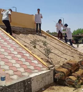 طلاب الهندسة الزراعية بجامعة القناة يشاركون في تشجير الكلية 26 - جريدة المساء طلاب الهندسة الزراعية بجامعة القناة يشاركون في تشجير الكلية 25 - جريدة المساء