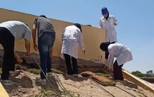 طلاب الهندسة الزراعية بجامعة القناة يشاركون في تشجير الكلية 21 - جريدة المساء