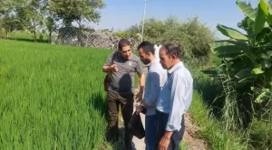 قافلة طبية شاملة بالرياح بالقنطرة غرب ضمن مبادرة "حياة كريمة" 22 - جريدة المساء
