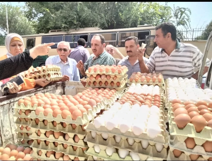 وزيرا الزراعة والتموين: إطلاق مبادرة لتخفيض أسعار البيض وطرحه ب 150جنية بمنافذ التموين والزراعة 19 - جريدة المساء