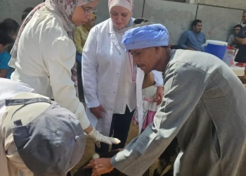 الصحة الحيوانية ينظم 14 ندوة إرشادية حول فحوصات سلامة الغذاء وتأهيل البيطريين لسوق العمل 25 - جريدة المساء