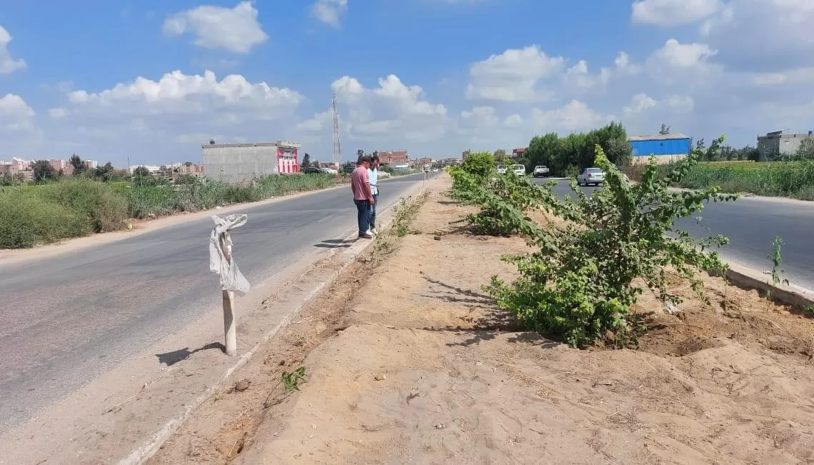 محافظ كفرالشيخ يتابع جهود زراعة الأشجار بعاصمة المحافظة 15 - جريدة المساء