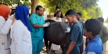 محافظ أسوان يتابع نتائج القوافل البيطرية ضمن الإحتفال بالعيد الـ ( 72 ) للفلاح المصرى للحفاظ على الثروة الحيوانية 1 - جريدة المساء