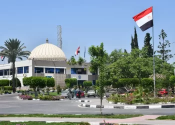 برامج تدريبية متميزة بمركز تكنولوجيا المعلومات والاتصالات بجامعة القناة 29 - جريدة المساء