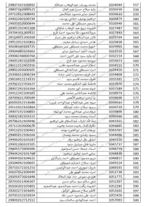 بالأسماء.. الأحد بدء التدريب التربوى للمتقدمين لمسابقة ٣٠ ألف معلم بالجيزة 51 - جريدة المساء