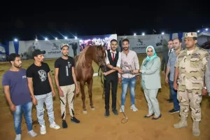 إستمرار فعاليات مهرجان الشرقية للخيول العربية وتوزيع مجسمات لأحصنة جامحة على الفائزين في مسابقة جمال الخيل 20 - جريدة المساء