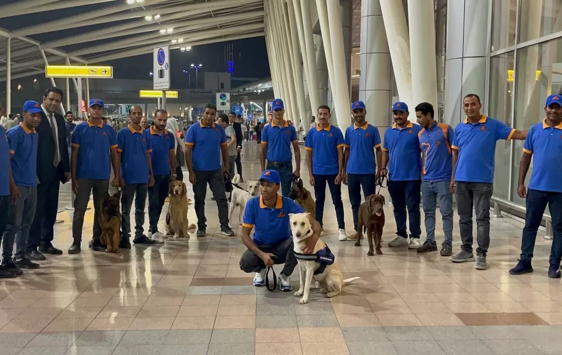 استقبال حافل ل "السيد رامبو" في مطار القاهرة بعد عرضه في مهرجان فينيسيا 19 - جريدة المساء