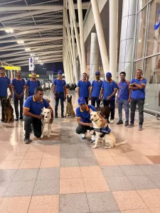 استقبال حافل ل "السيد رامبو" في مطار القاهرة بعد عرضه في مهرجان فينيسيا 23 - جريدة المساء